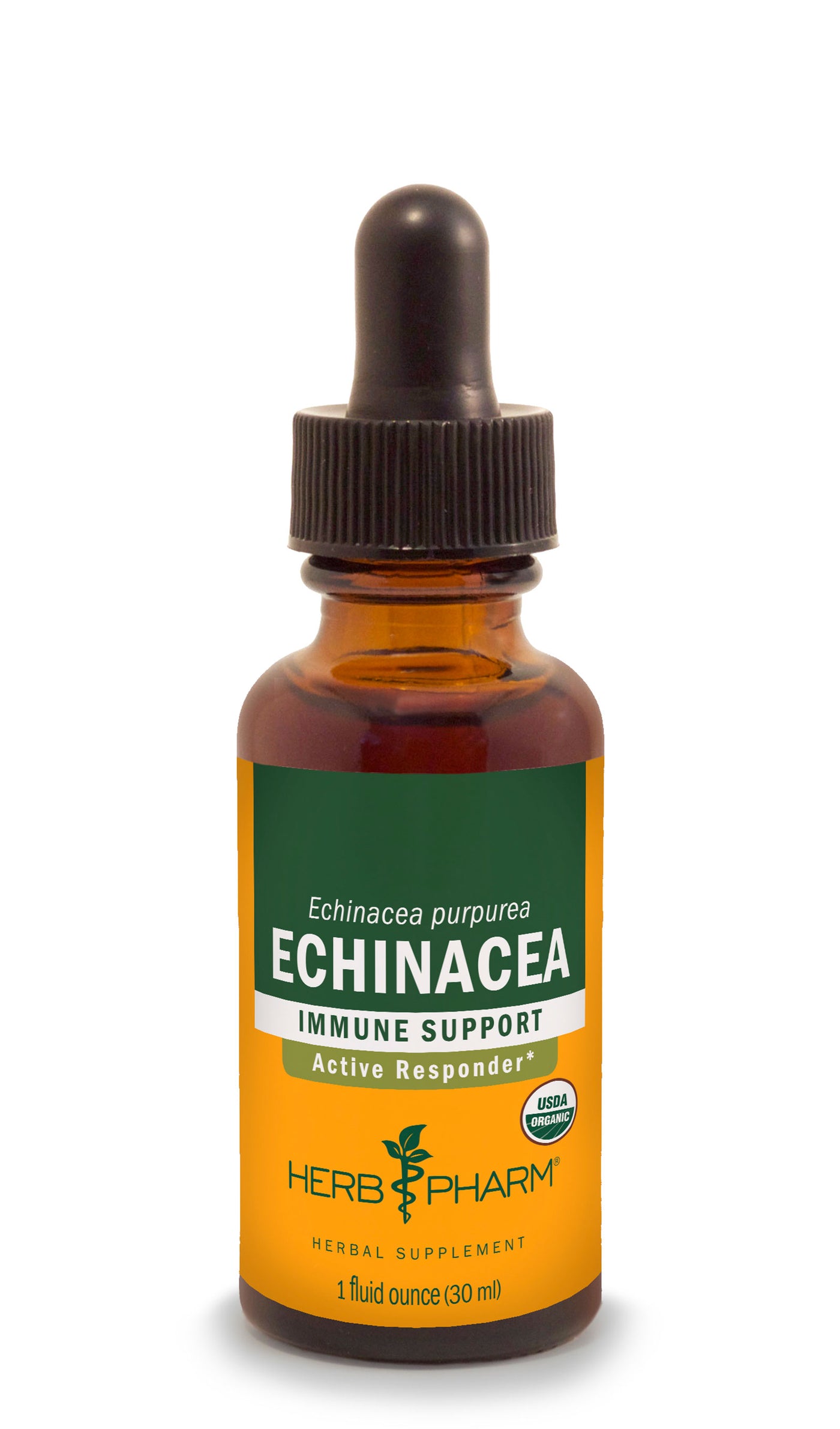 Echinacea - Euphoric Herbals