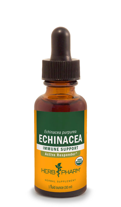 Echinacea - Euphoric Herbals