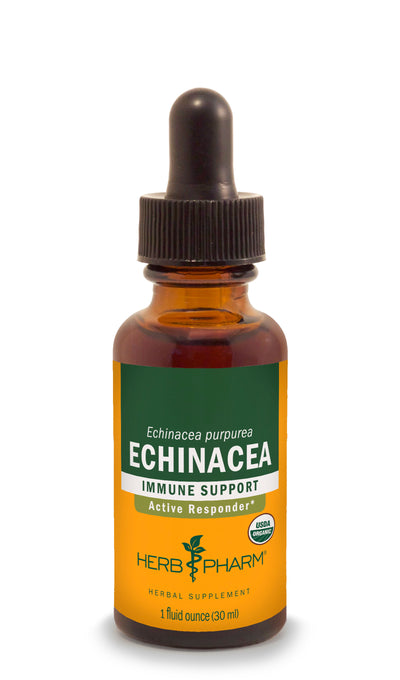 Echinacea - Euphoric Herbals