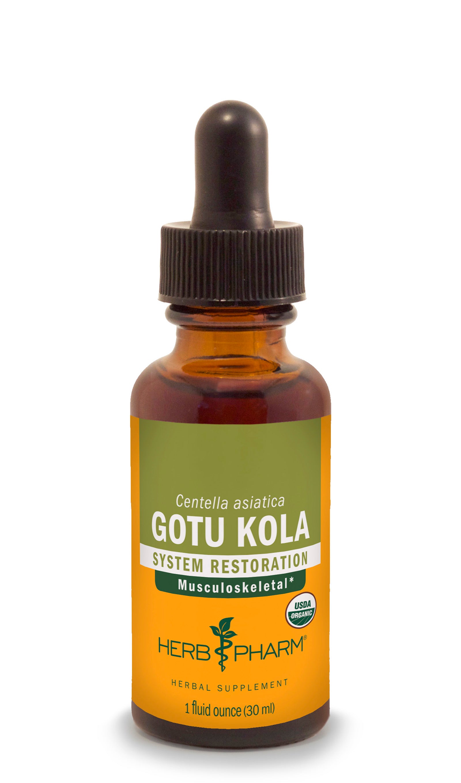 Gotu Kola - Euphoric Herbals