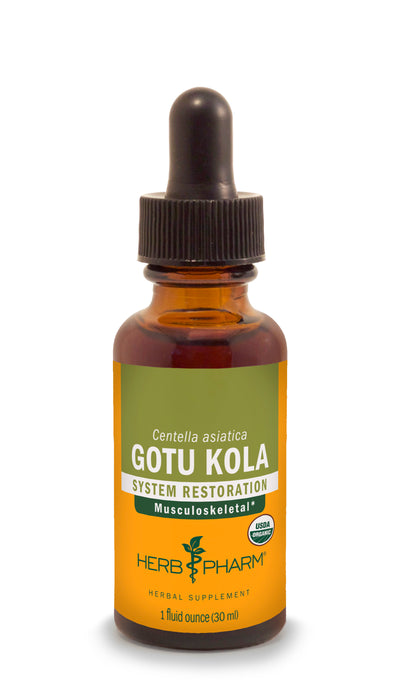 Gotu Kola - Euphoric Herbals