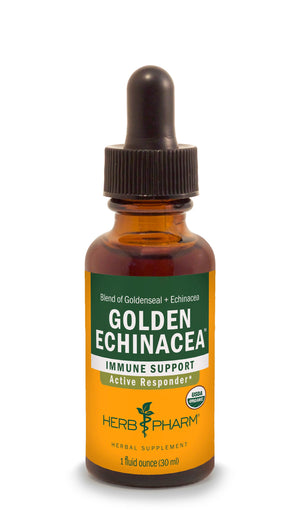 Golden Echinacea - Euphoric Herbals