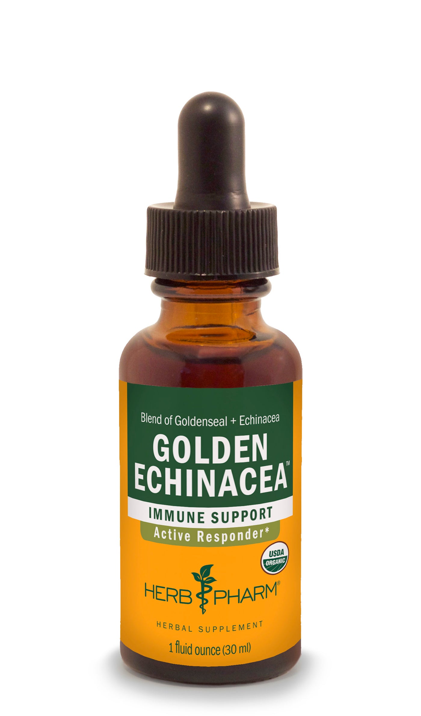 Golden Echinacea - Euphoric Herbals