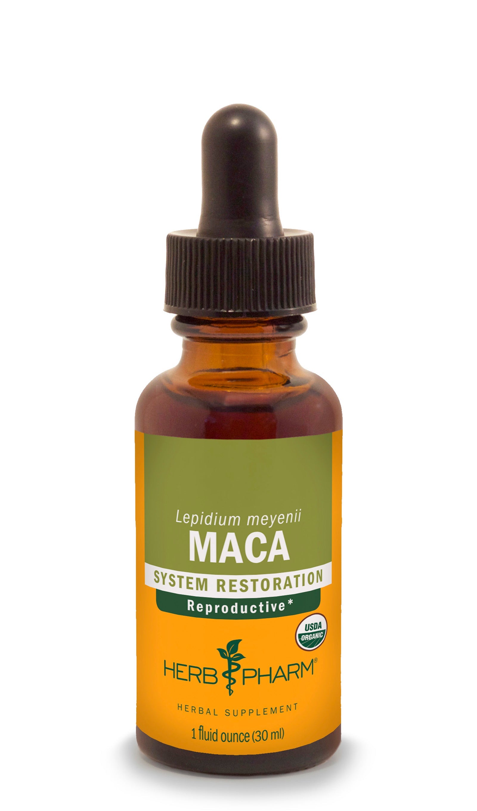 Maca Extract - Euphoric Herbals