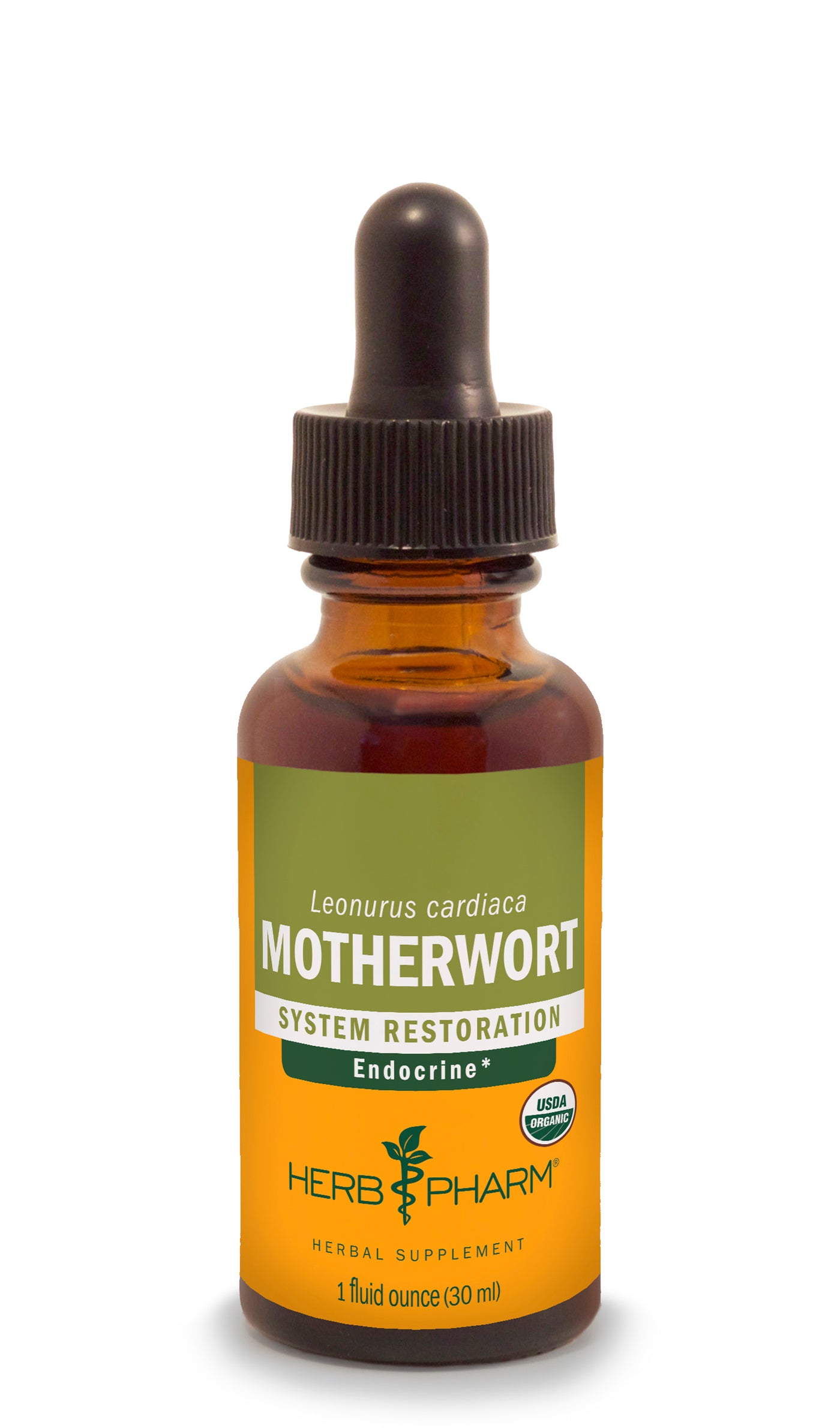 Motherwort Extract - Euphoric Herbals