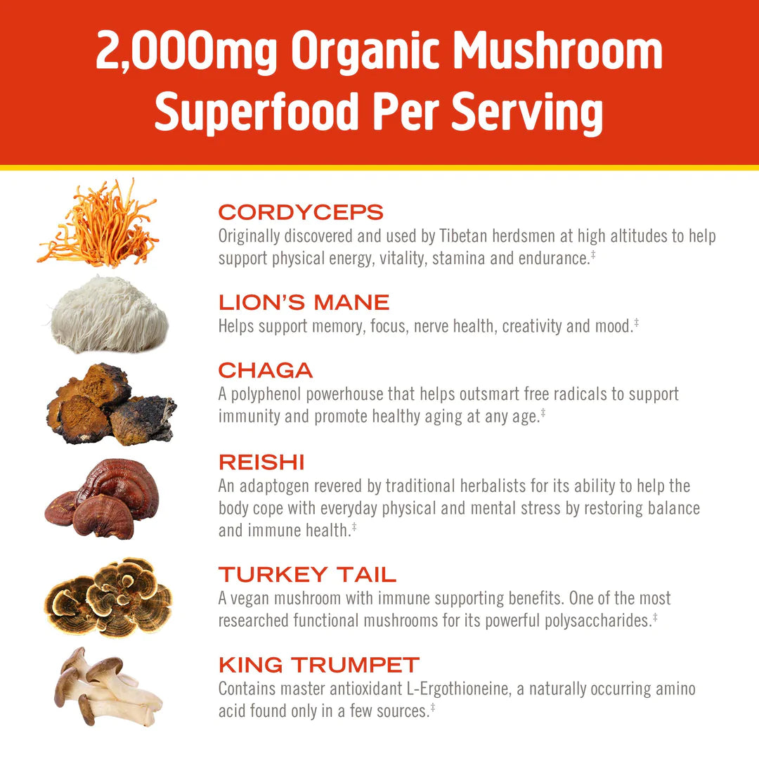 Morning Energy Mushroom Blend