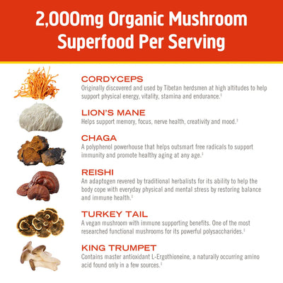 Morning Energy Mushroom Blend