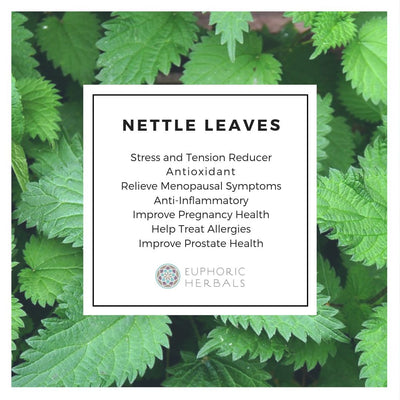 Nettle Leaf