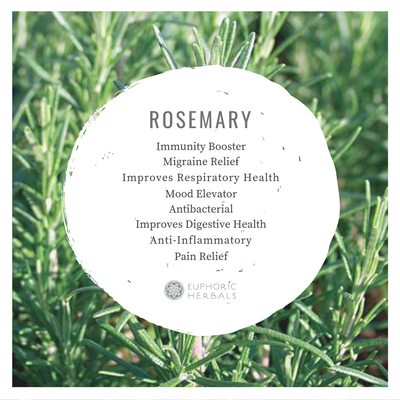 Rosemary