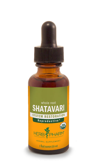 Shatavari Extract - Euphoric Herbals