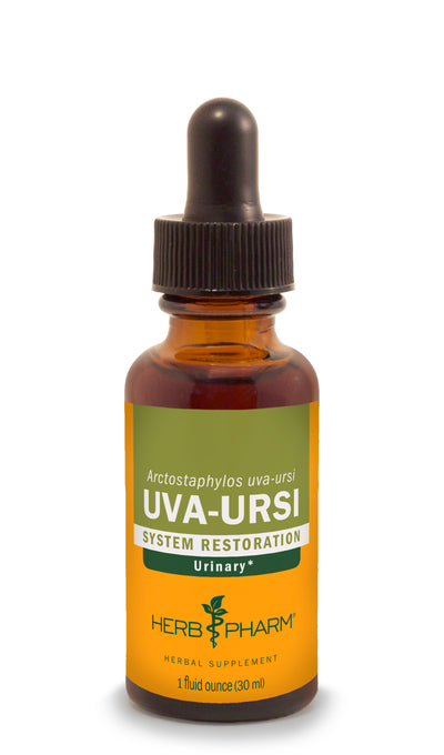 Uva Ursi - Euphoric Herbals