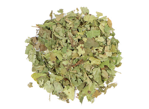 Witch Hazel Leaf - Euphoric Herbals
