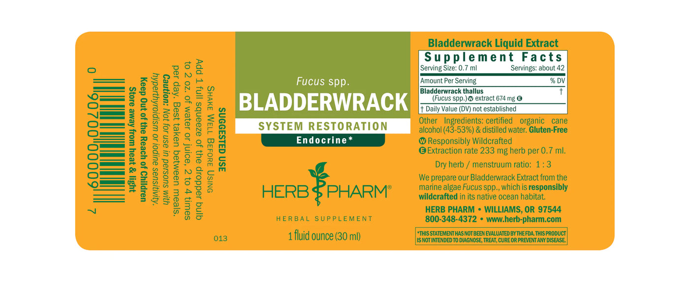 Bladderwrack Extract