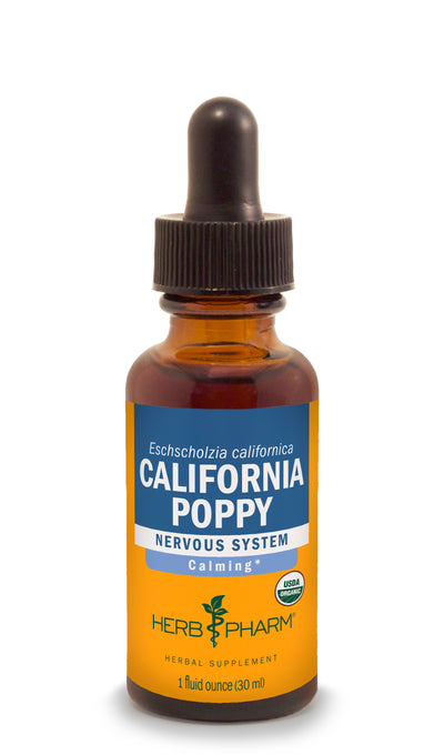 California Poppy Extract - Euphoric Herbals