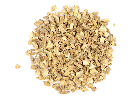 Dong Quai Root - Euphoric Herbals