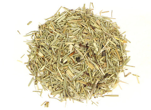Shavegrass (Horsetail) - Euphoric Herbals