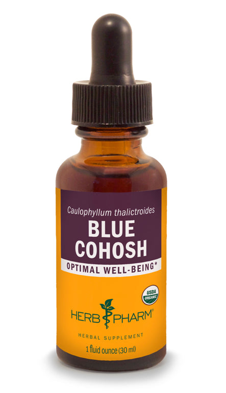 Blue Cohosh Extract