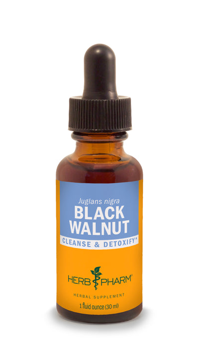 Black Walnut Extract