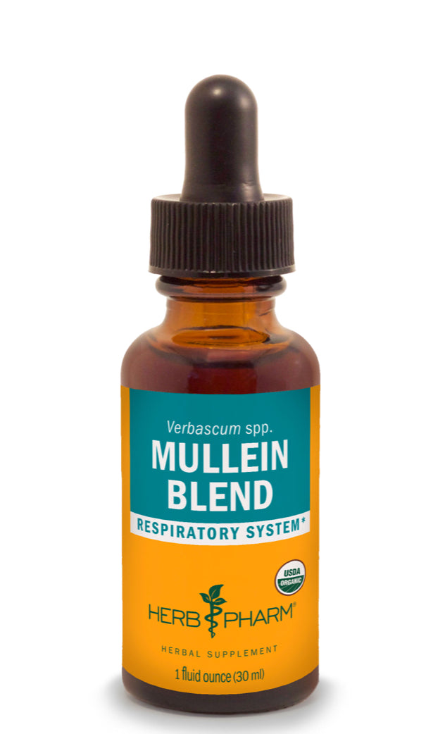 Mullein Blend Extract
