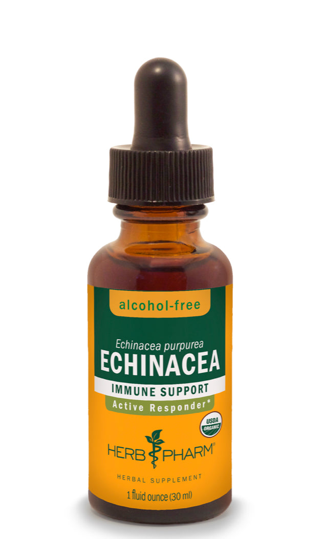 Echinacea Extract - Alcohol Free