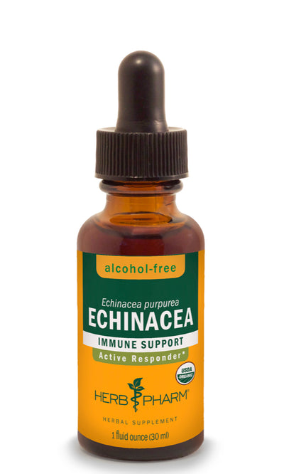 Echinacea Extract - Alcohol Free