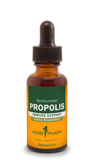 Propolis - Euphoric Herbals