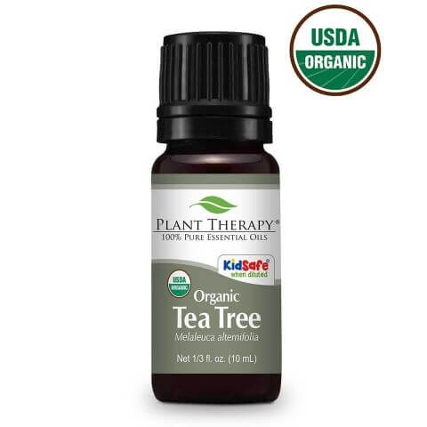 Tea Tree - Euphoric Herbals